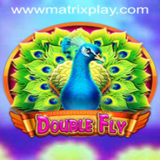 DoubleFly Game Unveiling