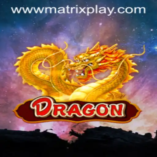 Discover the Exciting World of Dragon and MatrixPlay