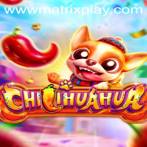 Unleash the Fun in CHILIHUAHUA